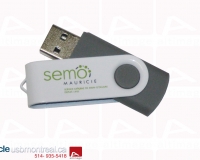 alt-403_semo