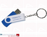 alt-403_triodetic