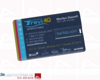 alt-610_trevi
